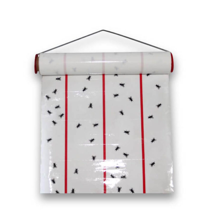 attrape mouches rouleau - laboratoires Logissain, leader français de la lutte anti-nuisibles et l'hygiène professionnelle